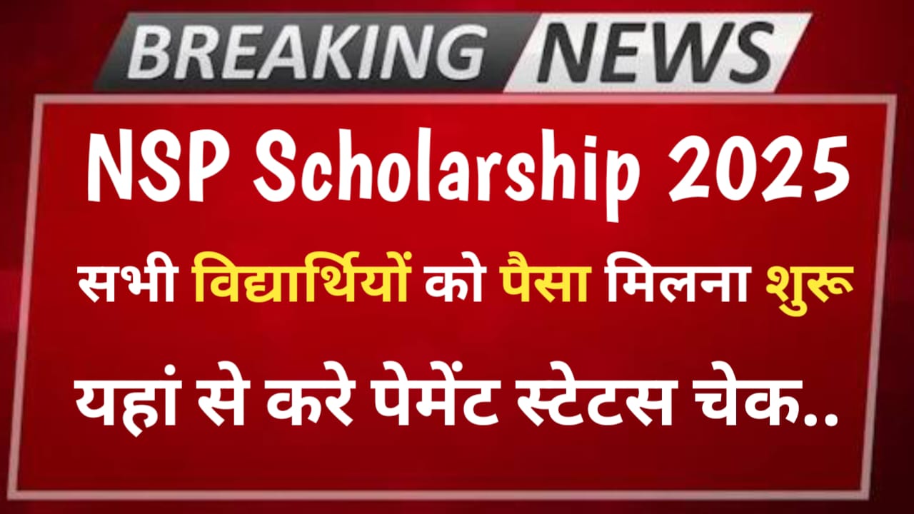 NSP Scholarship Payment Status
